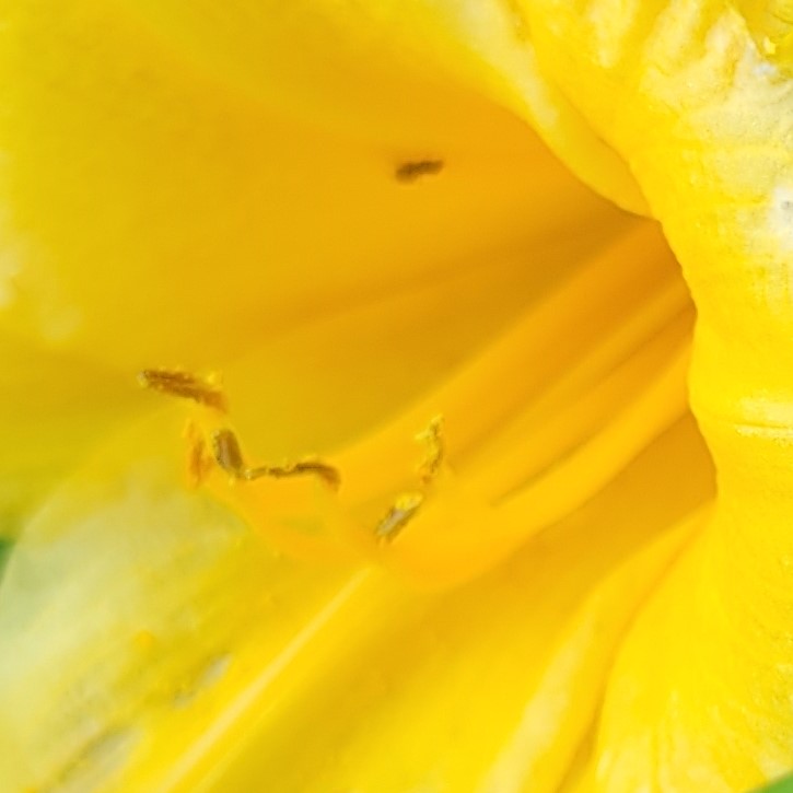 how do they do&nbsp;it…?