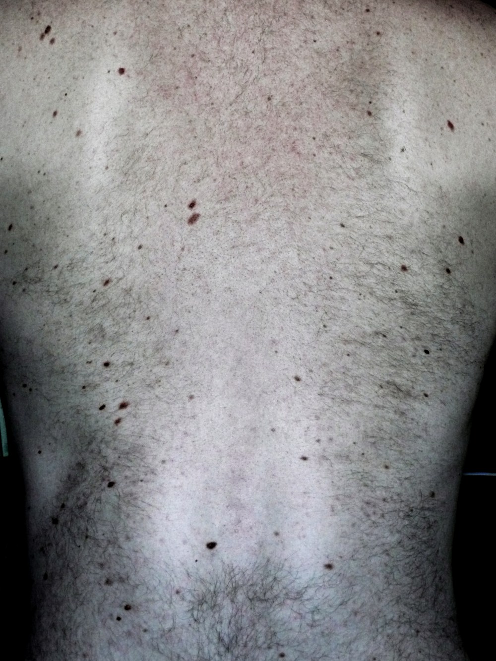 16×30 – constellations